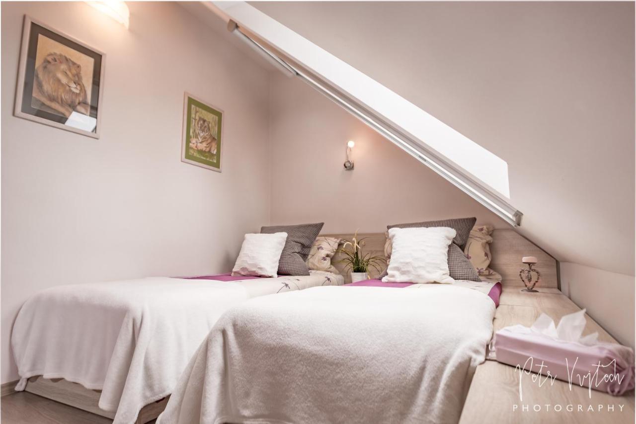 Apartman Na Lipne Frymburk Buitenkant foto